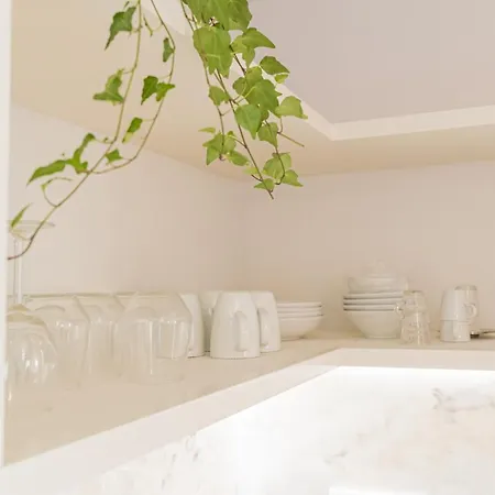Alegria Design By Homing
